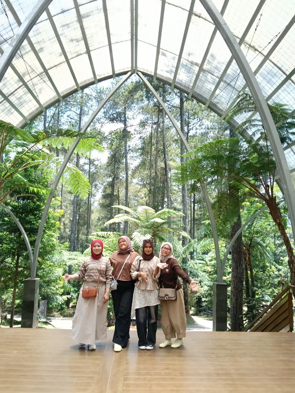 兰花森林 Orchid Forest